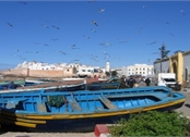 טיול מאורגן למרוקו צילום: גיורא לוין